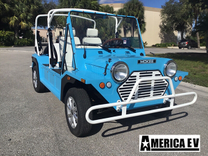 affordable golf cart rental, golf cart rent jupiter, cart rental jupiter