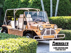 golf cart rental jupiter, jupiter golf cart rental, street legal golf car