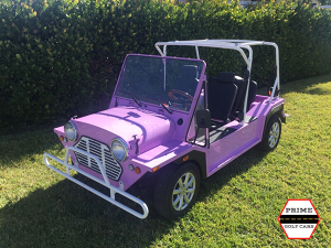 affordable golf cart rental, golf cart rent jupiter, cart rental jupiter