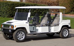 affordable golf cart rental, golf cart rent jupiter, cart rental jupiter