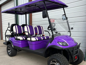 jupiter golf cart rental, golf cart rental, golf cars for rent